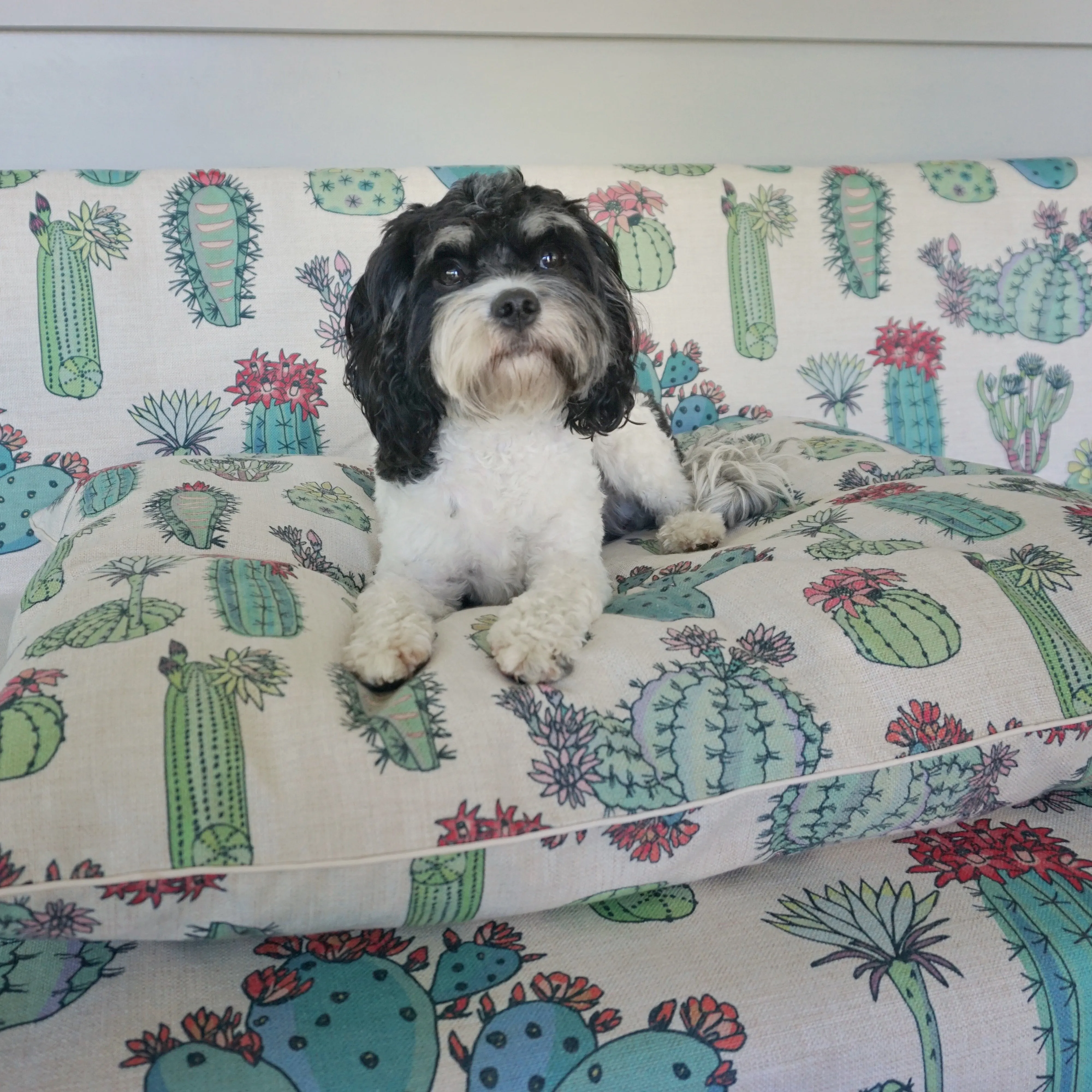 Desert Cacti – LARGE Dog Bed