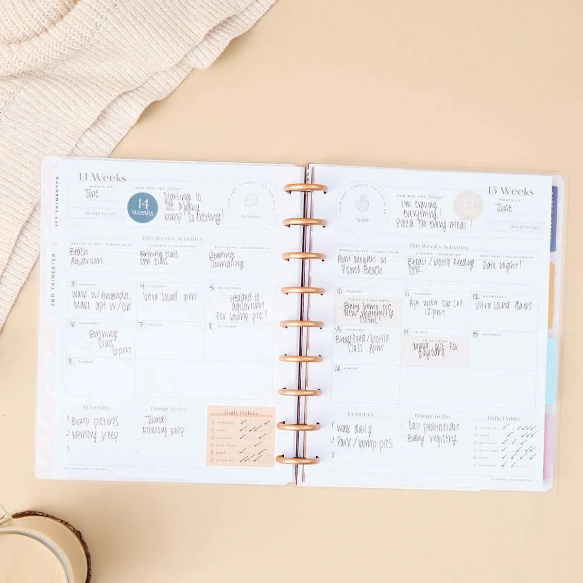 Happy Planner Baby On The Way Classic Undated Pregnancy Planner