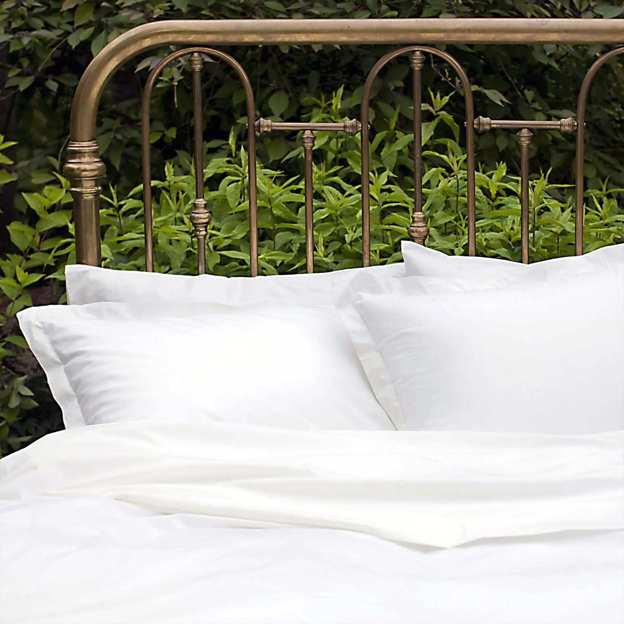 Nico Organic Sheet Sets